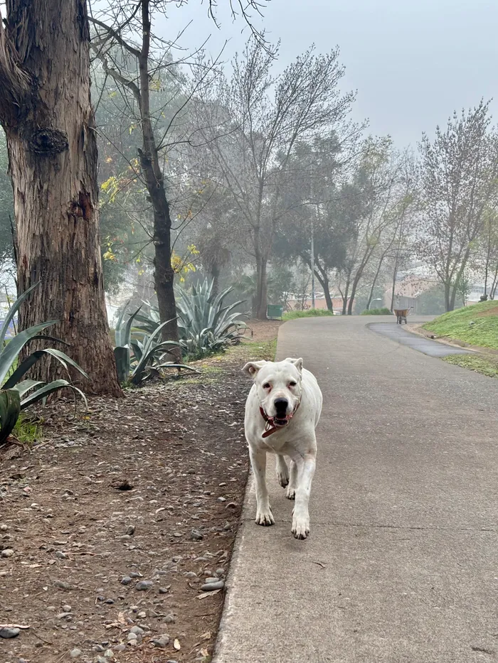 Foto de portada del relato «Paseo del 30 de mayo: de vuelta al cerro, entre corredores»